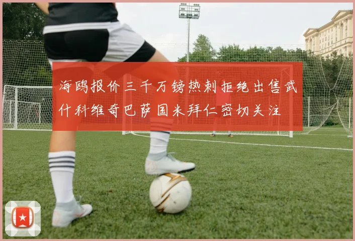 海鸥报价三千万镑热刺拒绝出售武什科维奇巴萨国米拜仁密切关注